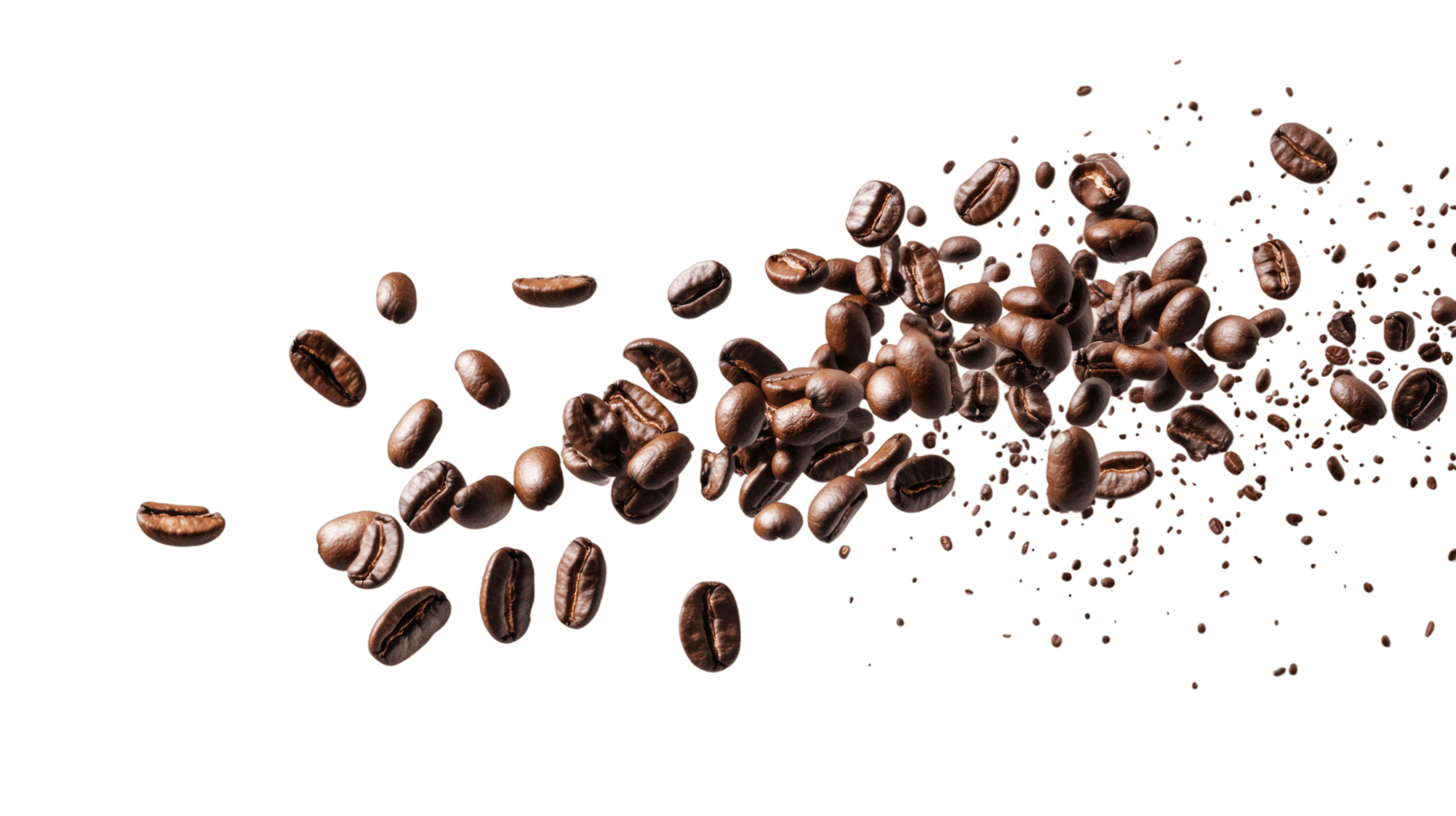 Coffee beans and The Bean's Place hero presentation